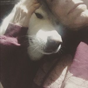 Meet your Posher, Pauline